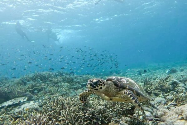 Flores-to-Lombok-Tour-1-900x600